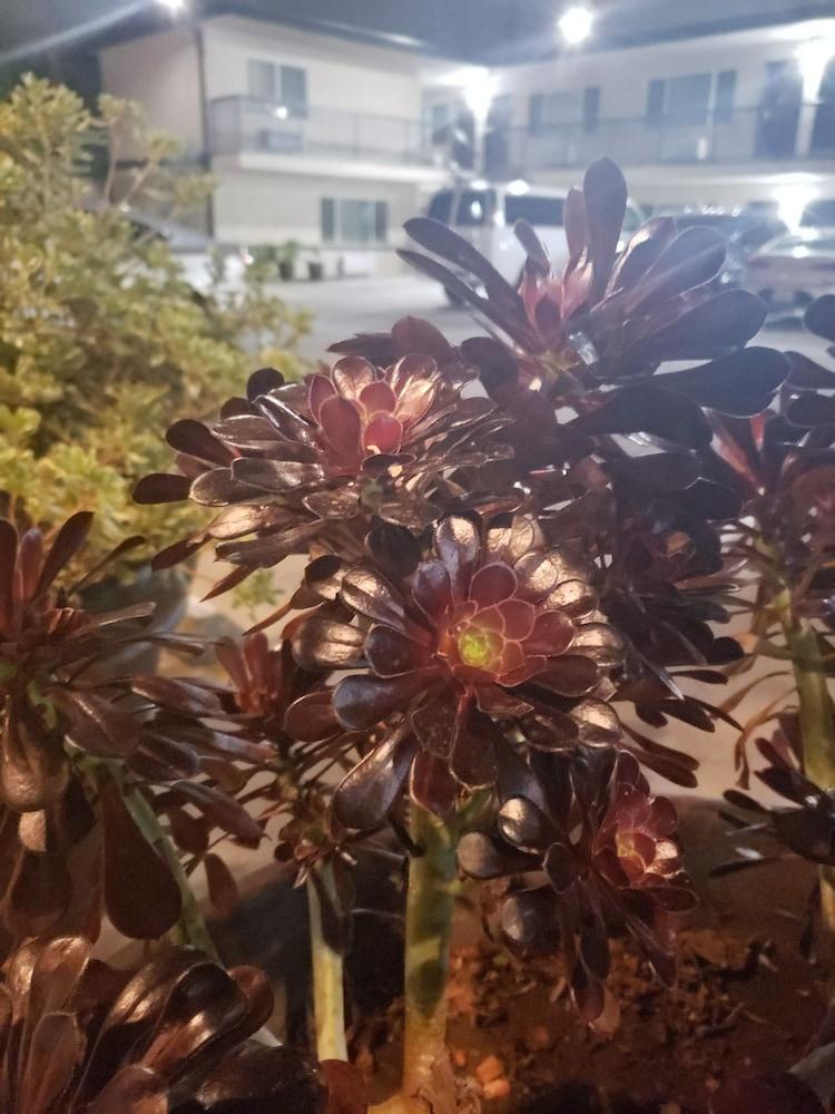 伯班克波托菲诺酒店 外观 照片